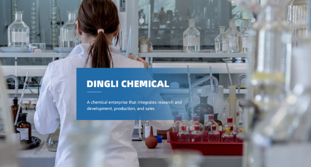 Xinghua Dingli Chemical Research Institute