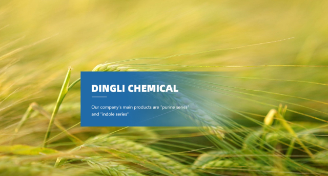 Xinghua Dingli Chemical Research Institute