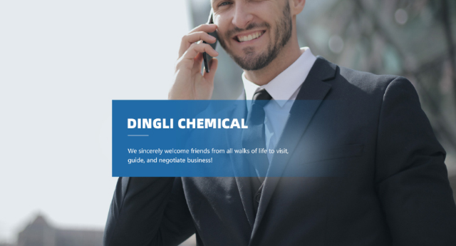Xinghua Dingli Chemical Research Institute